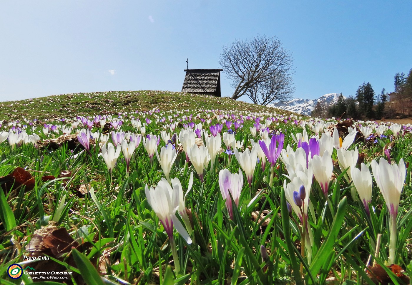 52 Alla bella stilizzata cappella Annovazzi della Pigolotta...tanti fiori .JPG